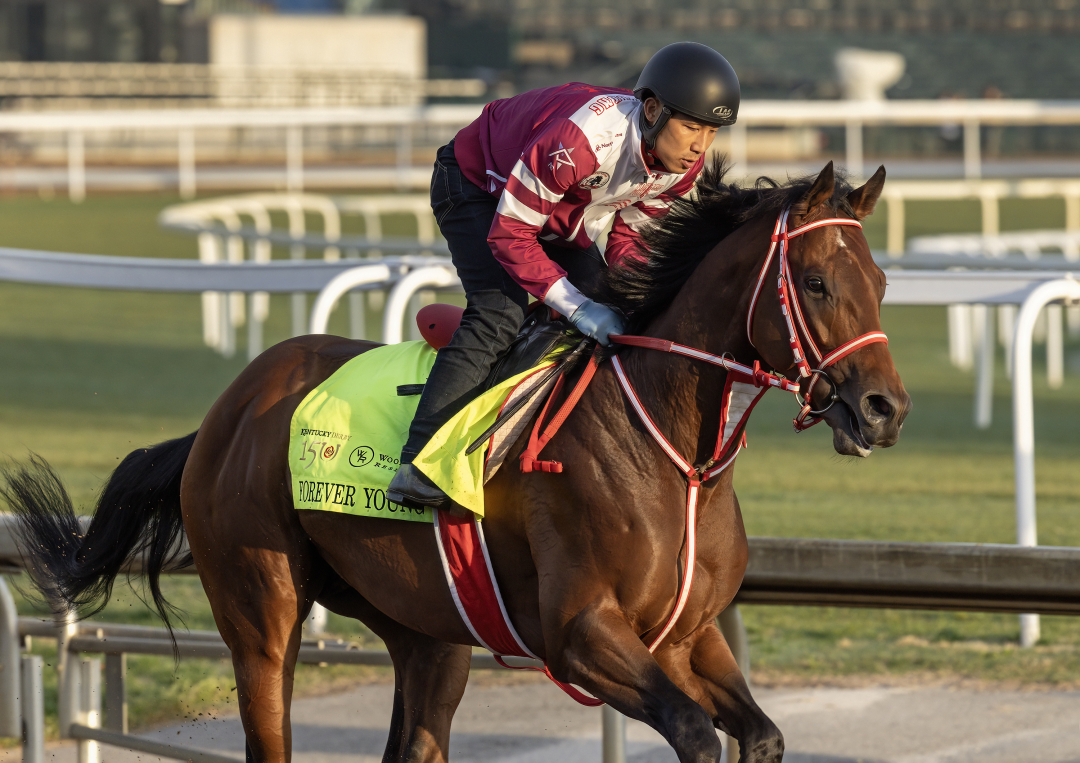 Forever Young wins Breeders' Cup Classic prep in Japan Dirt Classic